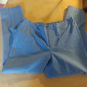 ✳️3/$10✳️NWOT BEAUTIFUL PAIR OF BLUE PANTS